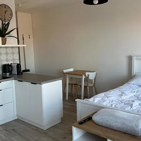 Mickiewicza40 Appartement Śrem